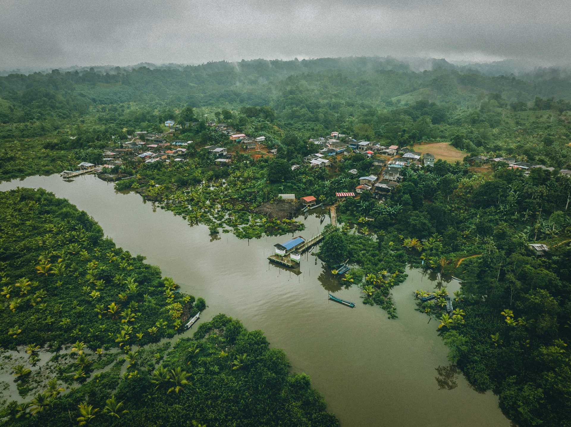 Overview of Colombian jungle areas where Manigua de Paz cocoa is harvested