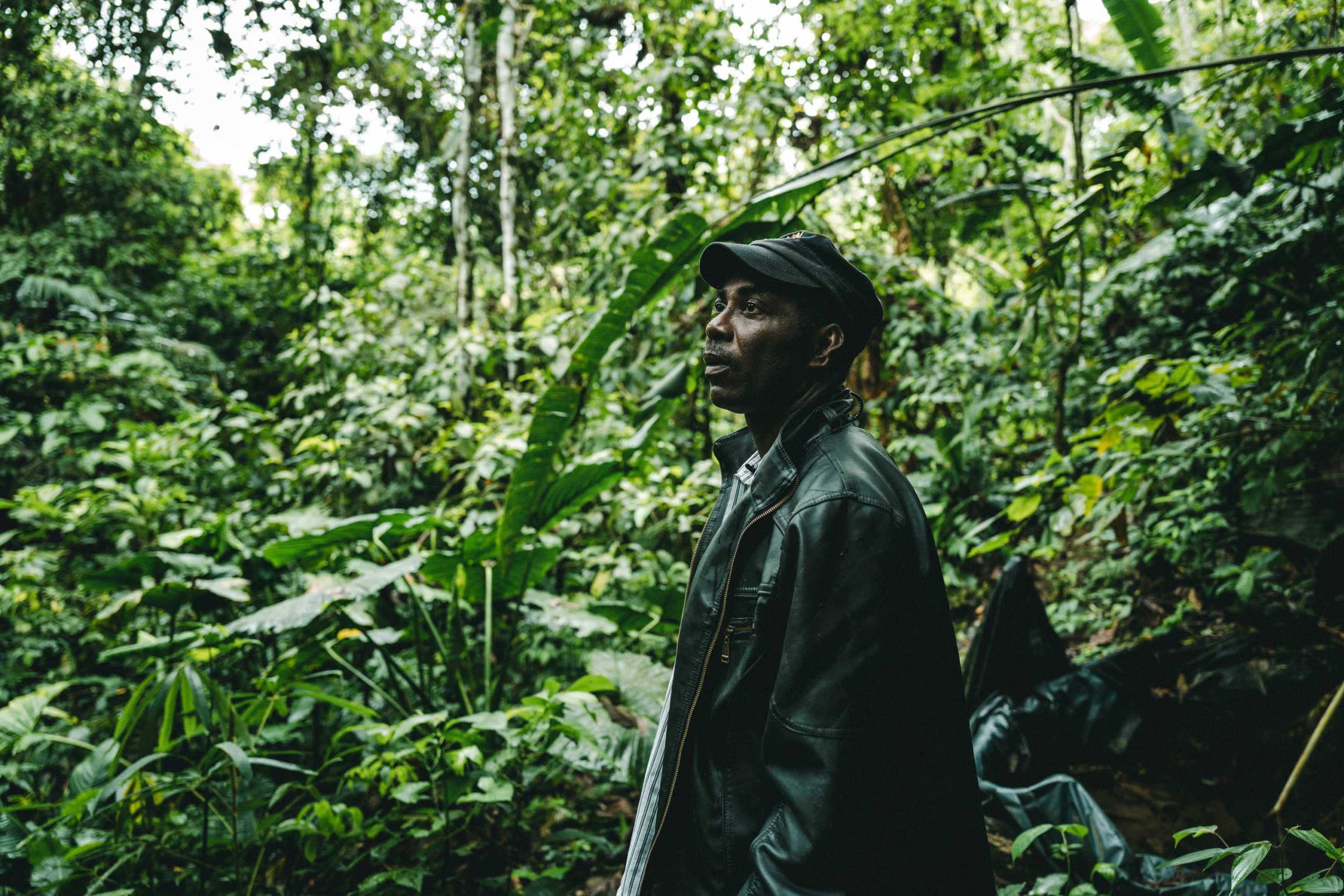 Asdrubal in jungle